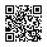 911999 QRCode