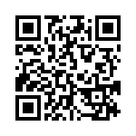 91276-419HLF QRCode