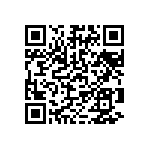 929500-01-30-RK QRCode