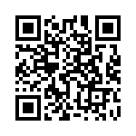 95104-419HLF QRCode