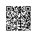 951462-2011309-AR-TP QRCode