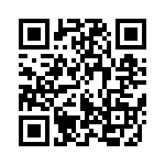 95278-101A12 QRCode