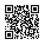 95293-101B08LF QRCode