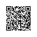 97-3106A24-11S-417 QRCode