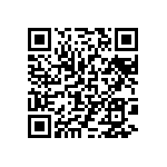 97-3106B22-11PW-417 QRCode