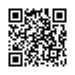 991204 QRCode