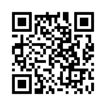 A20222307L1 QRCode