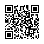 A38211204 QRCode