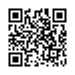 A38930204 QRCode