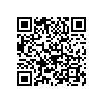 B32362A4107J080 QRCode