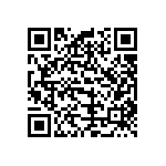 B32520C3104M000 QRCode