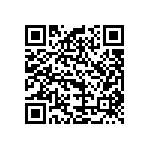 B32520C6273K289 QRCode