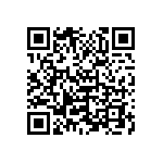 B32520E6333J189 QRCode