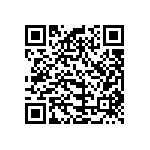 B32520E6333K000 QRCode