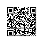 B32521E6153K000 QRCode