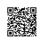 B32529C1104K000 QRCode