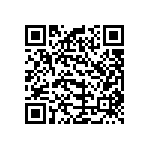 B32529C1334K000 QRCode