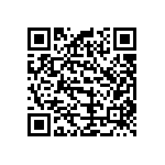 B32529C3104K000 QRCode