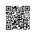 B32529C3222J000 QRCode