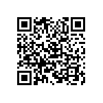 B32529C3683M289 QRCode