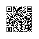 B32529C6333K289 QRCode