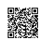 B32529D3334J000 QRCode