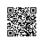 B32529E6333J189 QRCode