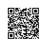 B32529E6333K289 QRCode