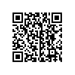 B32559C1333K000 QRCode