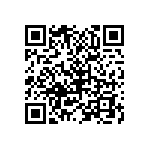 B32560J3104K189 QRCode