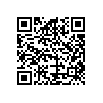 B32560J6152K289 QRCode