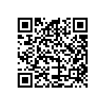 B32560J6153K189 QRCode