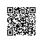 B32656S0155K501 QRCode