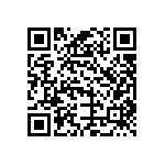 B32913A4154M289 QRCode