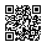 B41691A7337Q9 QRCode