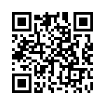 B57311V2331K60 QRCode