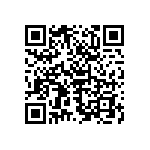 B57431V2333K062 QRCode