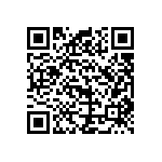 B65525J0250B045 QRCode