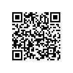 B65531D0040A033 QRCode