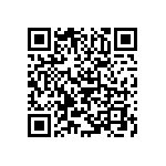 B65713A0000R087 QRCode