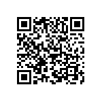 B65807N0063A033 QRCode