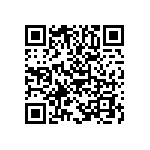 B65811J0040A041 QRCode