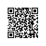 B65815E0063A087 QRCode