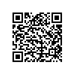 B65887E0160A041 QRCode