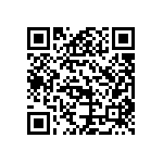 B65887E0250A087 QRCode