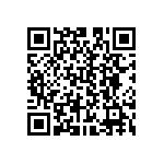 B66305U0250M127 QRCode