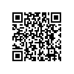 B72241L0171K100 QRCode