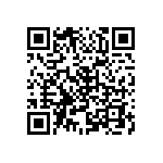 B82496C3829Z000 QRCode