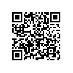 B88069X0980T502 QRCode