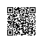 B88069X5531T203 QRCode